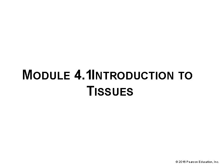 MODULE 4. 1 INTRODUCTION TO TISSUES © 2016 Pearson Education, Inc. 