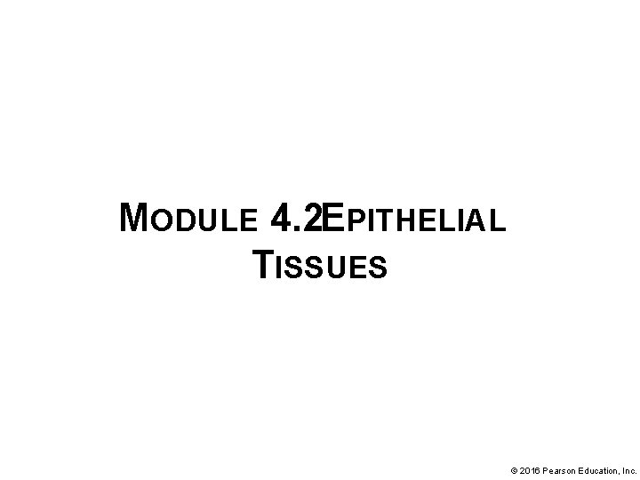 MODULE 4. 2 EPITHELIAL TISSUES © 2016 Pearson Education, Inc. 