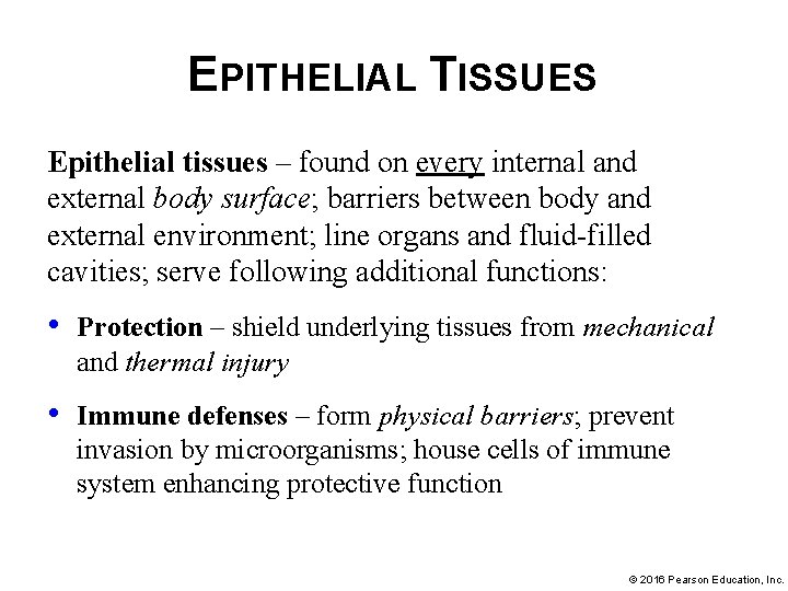 EPITHELIAL TISSUES Epithelial tissues – found on every internal and external body surface; barriers
