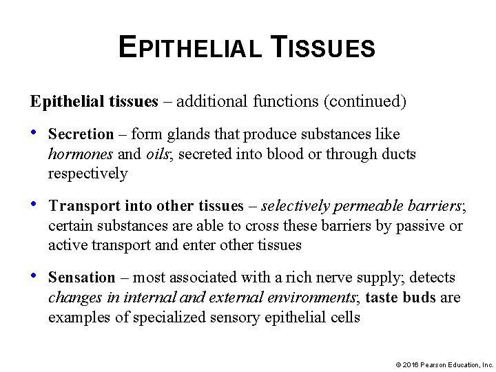 EPITHELIAL TISSUES Epithelial tissues – additional functions (continued) • Secretion – form glands that