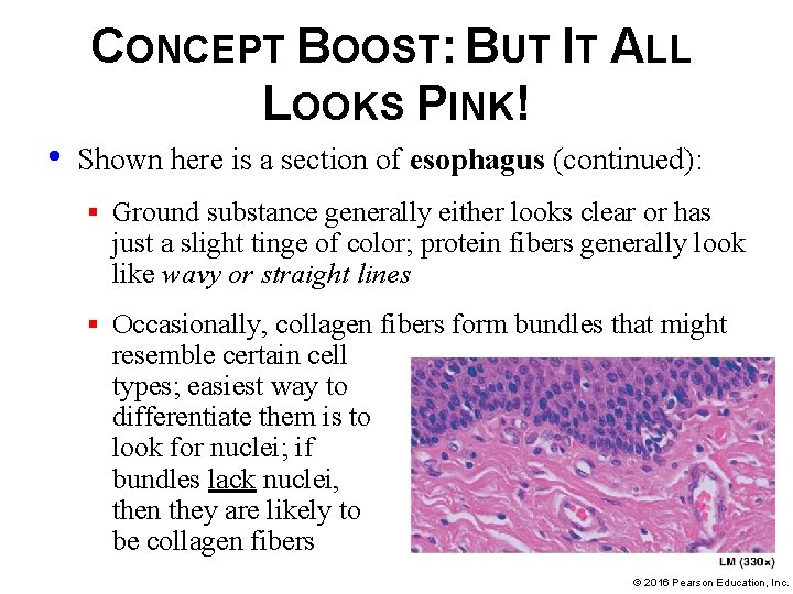 CONCEPT BOOST: BUT IT ALL LOOKS PINK! • Shown here is a section of