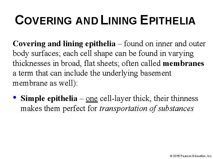 COVERING AND LINING EPITHELIA Covering and lining epithelia – found on inner and outer