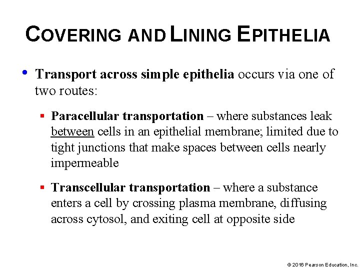 COVERING AND LINING EPITHELIA • Transport across simple epithelia occurs via one of two