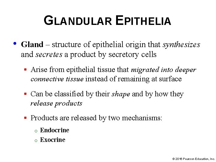 GLANDULAR EPITHELIA • Gland – structure of epithelial origin that synthesizes and secretes a