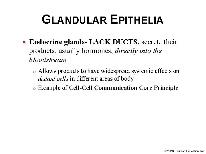 GLANDULAR EPITHELIA § Endocrine glands- LACK DUCTS, secrete their products, usually hormones, directly into