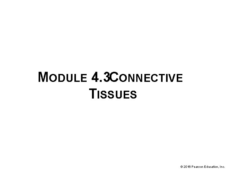 MODULE 4. 3 CONNECTIVE TISSUES © 2016 Pearson Education, Inc. 