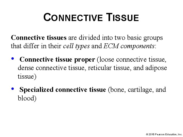 CONNECTIVE TISSUE Connective tissues are divided into two basic groups that differ in their