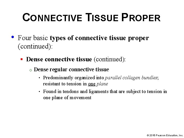 CONNECTIVE TISSUE PROPER • Four basic types of connective tissue proper (continued): § Dense