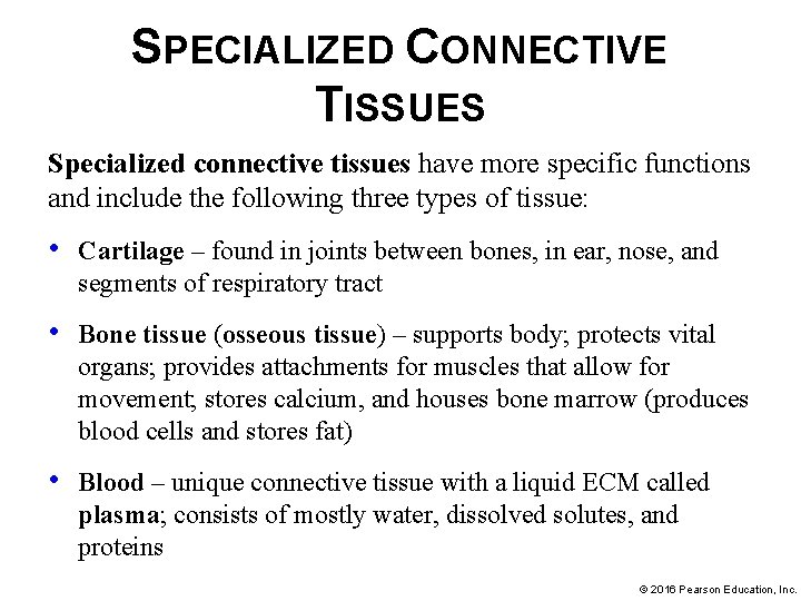 SPECIALIZED CONNECTIVE TISSUES Specialized connective tissues have more specific functions and include the following