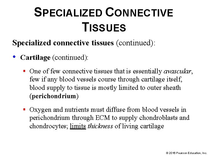 SPECIALIZED CONNECTIVE TISSUES Specialized connective tissues (continued): • Cartilage (continued): § One of few