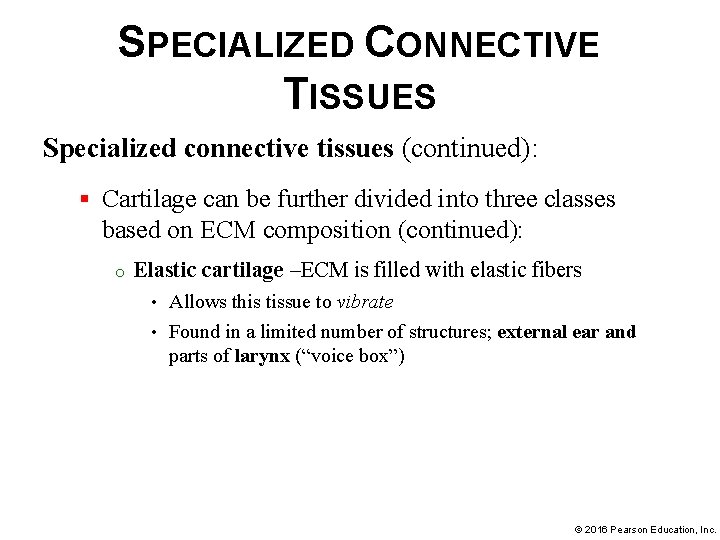 SPECIALIZED CONNECTIVE TISSUES Specialized connective tissues (continued): § Cartilage can be further divided into