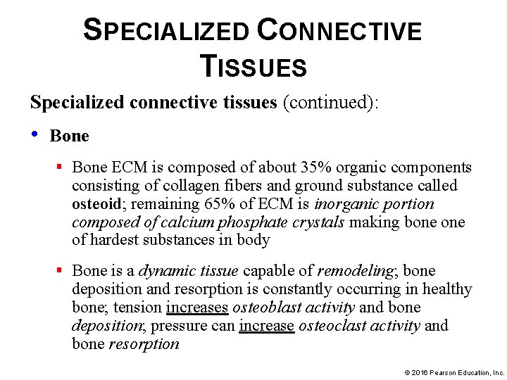 SPECIALIZED CONNECTIVE TISSUES Specialized connective tissues (continued): • Bone § Bone ECM is composed