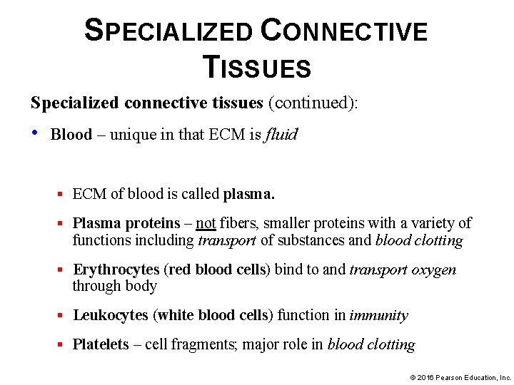 SPECIALIZED CONNECTIVE TISSUES Specialized connective tissues (continued): • Blood – unique in that ECM