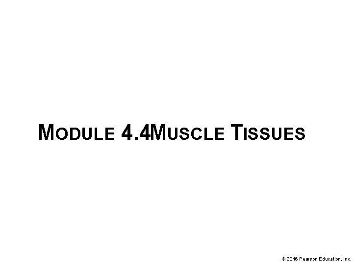 MODULE 4. 4 MUSCLE TISSUES © 2016 Pearson Education, Inc. 