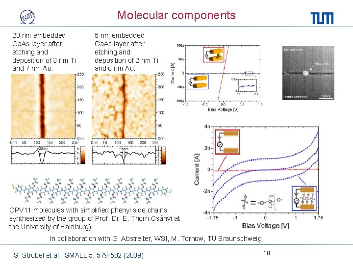 Molecular components 20 nm embedded Ga. As layer after etching and deposition of 3