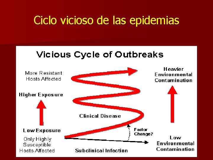 Ciclo vicioso de las epidemias 