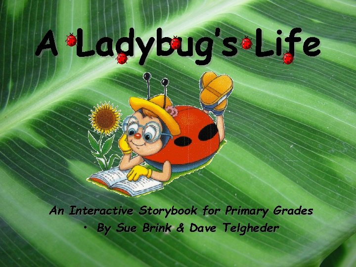 A Ladybug’s Life An Interactive Storybook for Primary Grades • By Sue Brink &