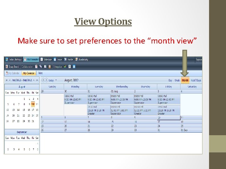 View Options Make sure to set preferences to the “month view” 