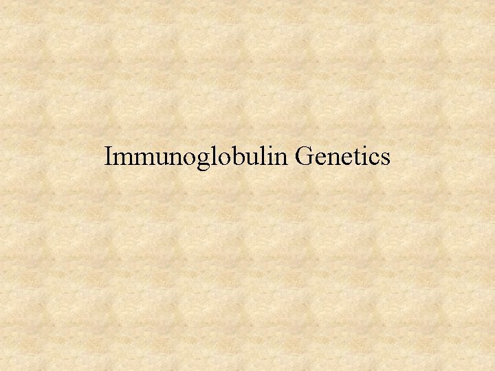 Immunoglobulin Genetics 