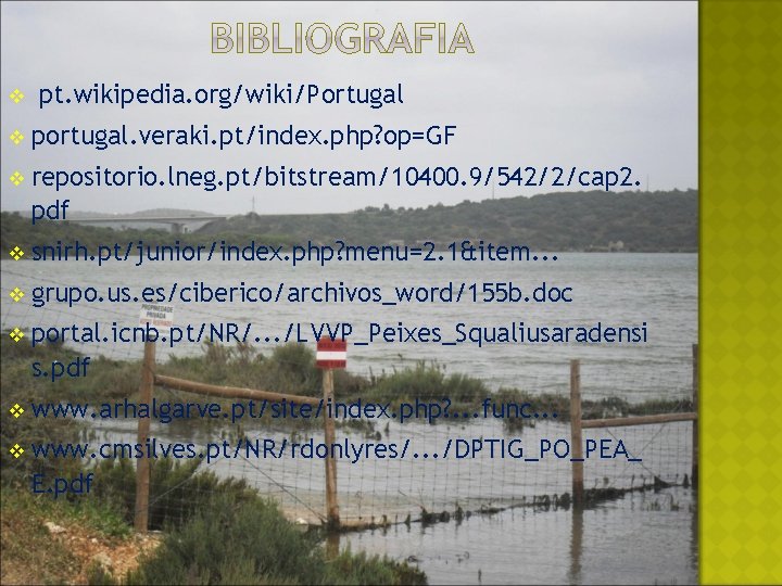 v pt. wikipedia. org/wiki/Portugal v portugal. veraki. pt/index. php? op=GF v repositorio. lneg. pt/bitstream/10400.