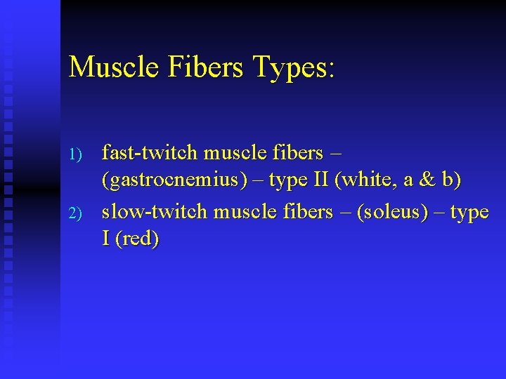 Muscle Fibers Types: 1) 2) fast-twitch muscle fibers – (gastrocnemius) – type II (white,