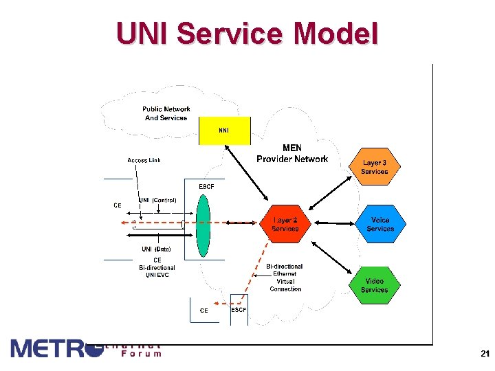 UNI Service Model 21 