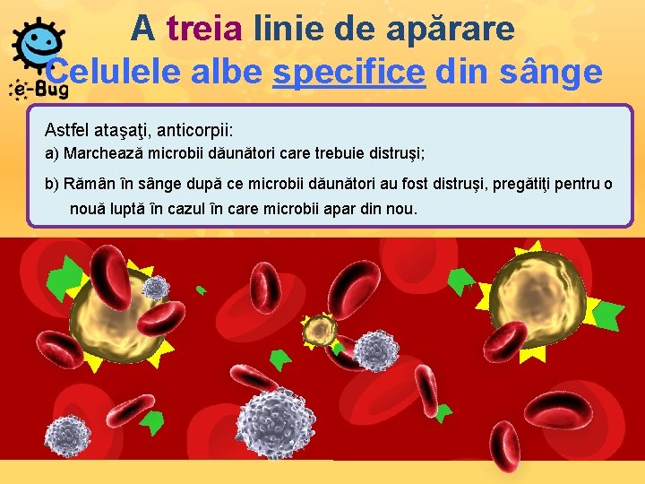 A treia linie de apărare Celulele albe specifice din sânge Astfel ataşaţi, anticorpii: a)