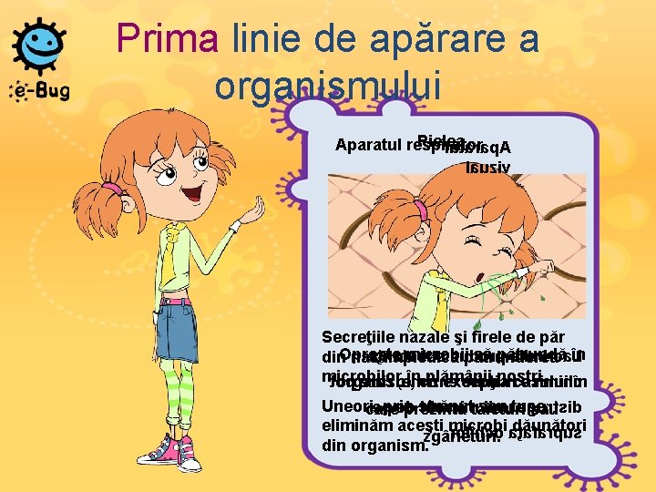 Prima linie de apărare a organismului Pielea Aparatul respirator lutarap. A lauziv Secreţiile nazale