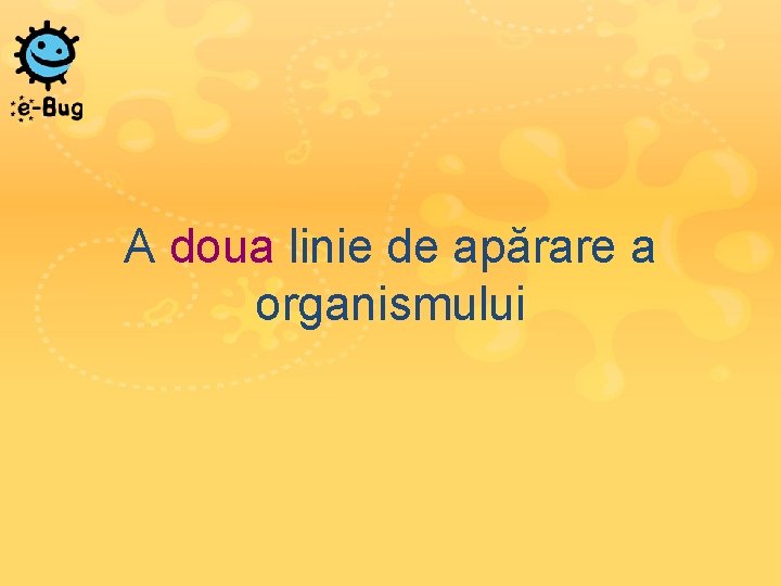 A doua linie de apărare a organismului 