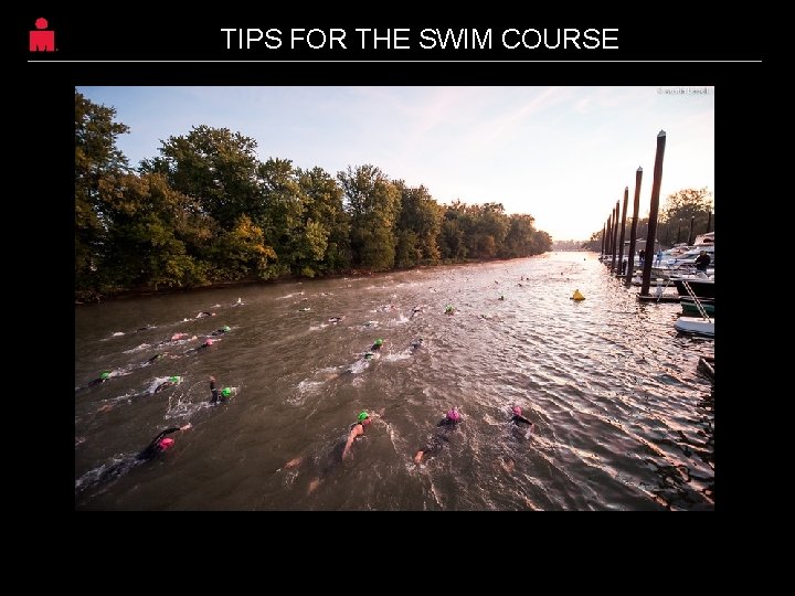 TIPS FOR THE SWIM COURSE Ohio River “Grand Prix” swim start Line up, wait TIPS FOR THE SWIM COURSE Ohio River “Grand Prix” swim start Line up, wait