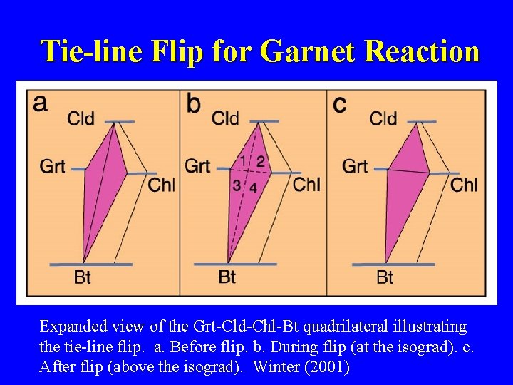 Tie-line Flip for Garnet Reaction Expanded view of the Grt-Cld-Chl-Bt quadrilateral illustrating the tie-line