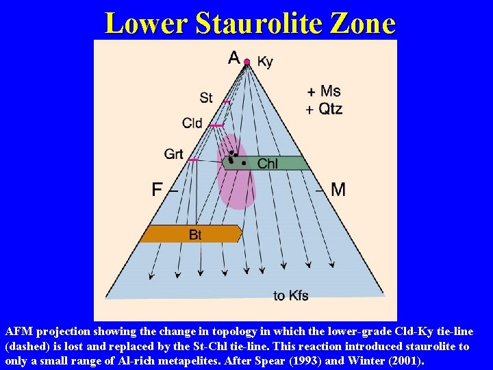 Lower Staurolite Zone AFM projection showing the change in topology in which the lower-grade