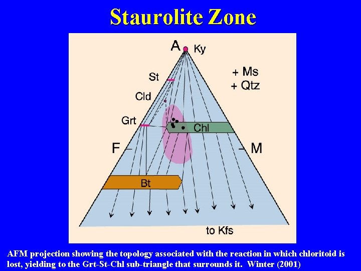 Staurolite Zone AFM projection showing the topology associated with the reaction in which chloritoid