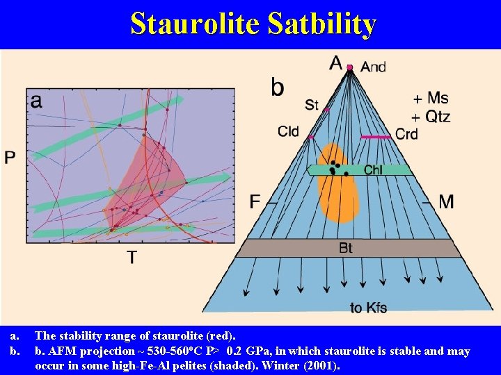 Staurolite Satbility a. b. The stability range of staurolite (red). b. AFM projection ~