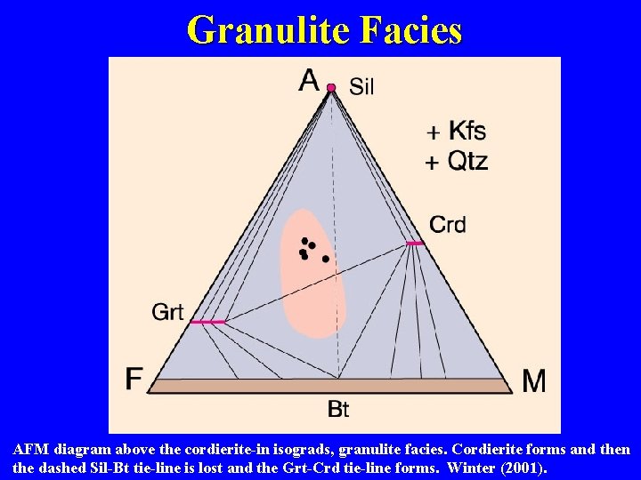 Granulite Facies AFM diagram above the cordierite-in isograds, granulite facies. Cordierite forms and then
