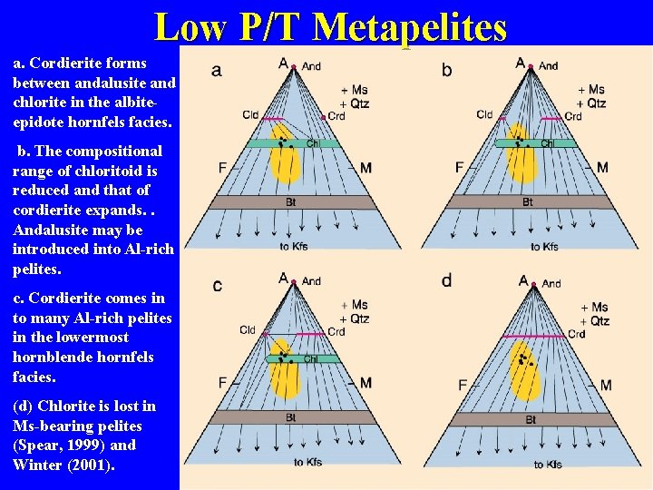 Low P/T Metapelites a. Cordierite forms between andalusite and chlorite in the albiteepidote hornfels