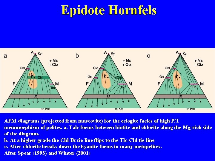 Epidote Hornfels AFM diagrams (projected from muscovite) for the eclogite facies of high P/T