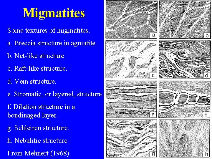 Migmatites Some textures of migmatites. a. Breccia structure in agmatite. b. Net-like structure. c.
