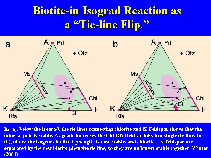 Biotite-in Isograd Reaction as a “Tie-line Flip. ” In (a), below the isograd, the