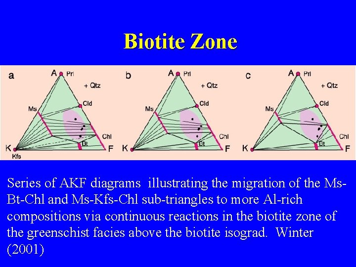 Biotite Zone Series of AKF diagrams illustrating the migration of the Ms. Bt-Chl and
