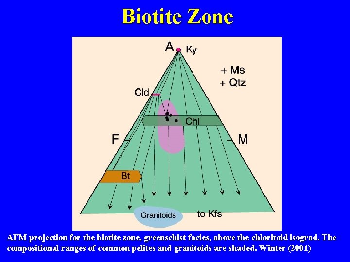 Biotite Zone AFM projection for the biotite zone, greenschist facies, above the chloritoid isograd.