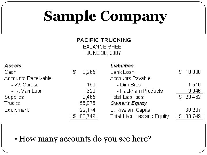 Sample Company • How many accounts do you see here? 