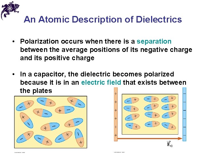 An Atomic Description of Dielectrics • Polarization occurs when there is a separation between