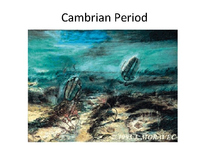 Cambrian Period 