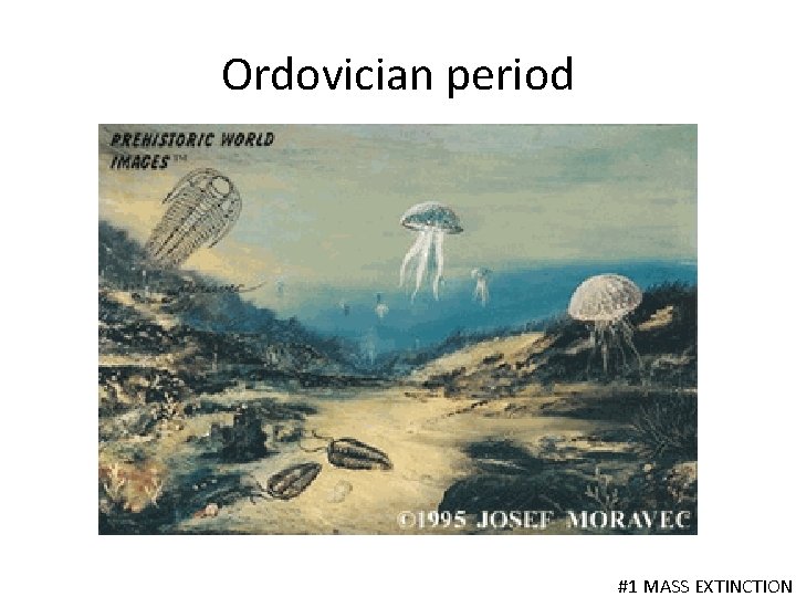 Ordovician period #1 MASS EXTINCTION 
