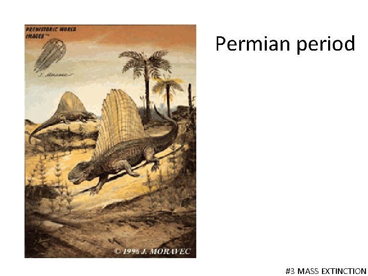 Permian period #3 MASS EXTINCTION 