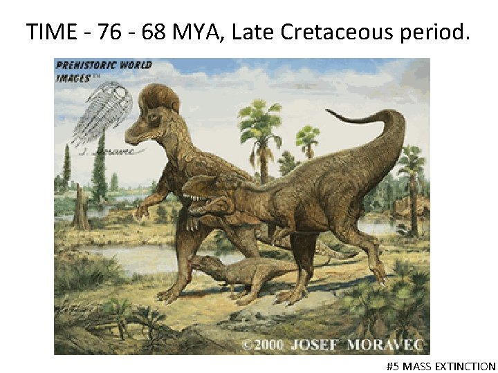 TIME - 76 - 68 MYA, Late Cretaceous period. #5 MASS EXTINCTION 