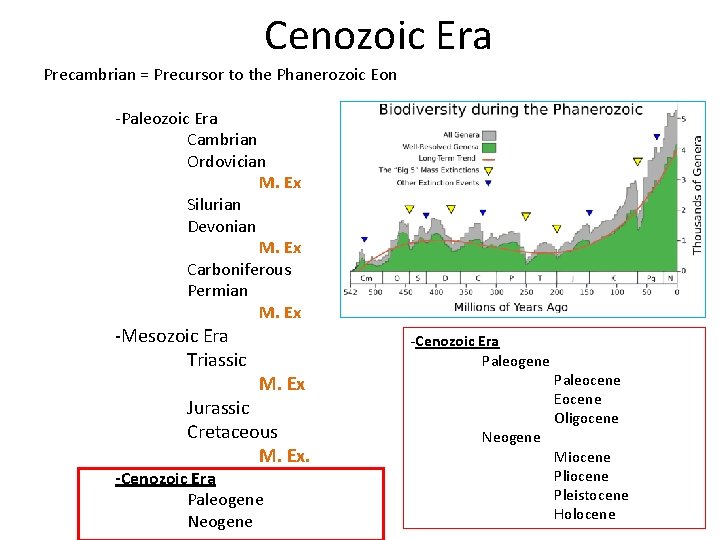 Cenozoic Era Precambrian = Precursor to the Phanerozoic Eon -Paleozoic Era Cambrian Ordovician M.