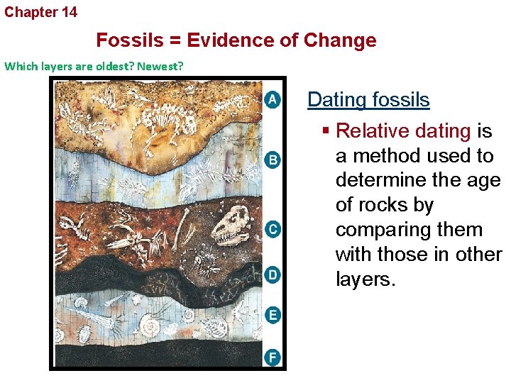 Chapter 14 The History of Life Fossils = Evidence of Change Which layers are