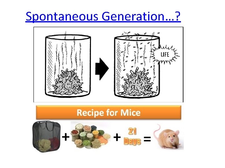 Spontaneous Generation…? 